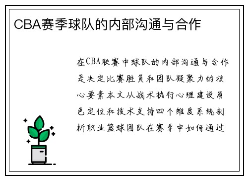 CBA赛季球队的内部沟通与合作