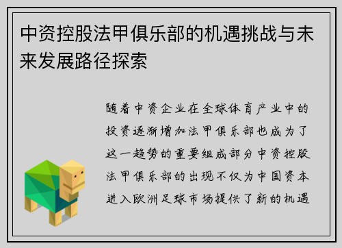 中资控股法甲俱乐部的机遇挑战与未来发展路径探索